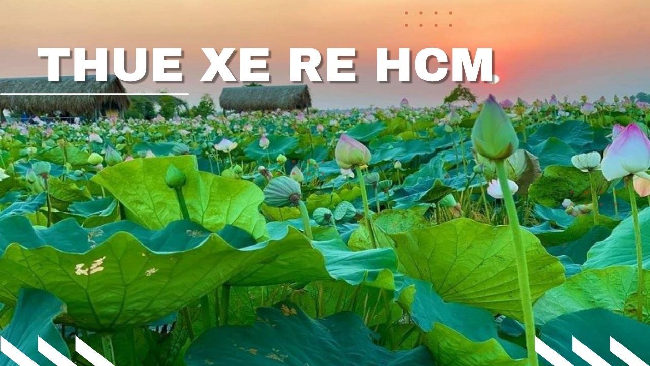 Xe 7 chỗ Sedona/Limousine đời mới, đón khách tại Đồng Tháp, thể hiện dịch vụ Thuê Xe Đi Đồng Tháp tiện nghi, phục vụ du lịch gia đình hoặc công tác.